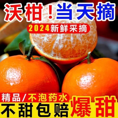 正宗广西武鸣沃柑水果纯甜多汁果园现摘现发应季橘子皮薄新鲜水果
