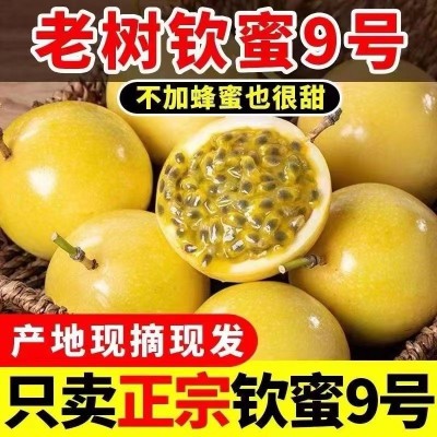 广西钦蜜9号黄金百香果5斤新鲜水果当季百香果果酱原浆艺一件包邮图2