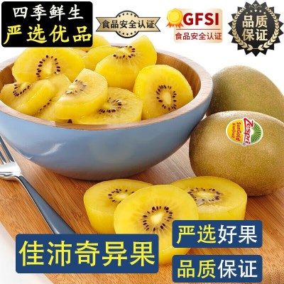 广州江南批发直发【顺丰】佳沛奇异果新西兰金果维c黄心猕猴桃图2