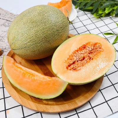 哈密瓜一件代发甜瓜当季水果新鲜西州蜜瓜晓25号非新疆玫珑网纹瓜图4
