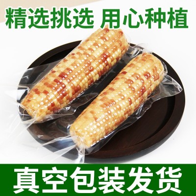 花糯小玉米西双版纳甜糯玉米包谷独立包装当季新鲜采摘真空装即食图2
