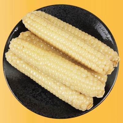 云南西双版纳拇指玉米香甜软糯现货供应厂家直发迷你手指小玉米图3