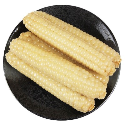 云南西双版纳拇指玉米香甜软糯现货供应厂家直发迷你手指小玉米图5