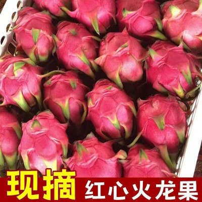 云南金都一号红心火龙果新鲜水果非越南广西红心大果整箱5斤包邮6图3