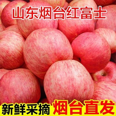 正宗烟台栖霞红富士苹果脆甜多汁新鲜应季水果整箱包邮批发 代发·图3