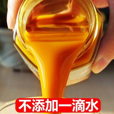 5瓶原浆】沙棘果原浆原汁一件代发鲜果鲜榨含果籽果油高vc酸甜饮图2