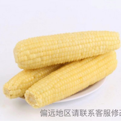特等白珍珠糯玉米10支装品质不变保温箱＋冰袋独立包装图2