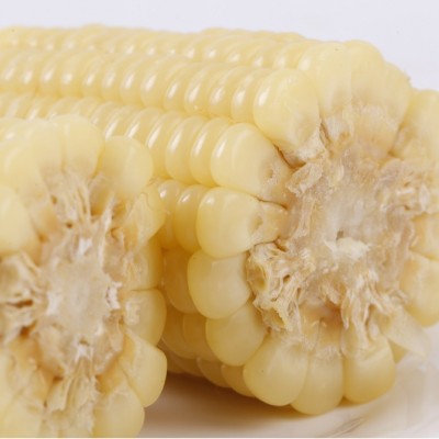 小白糯14穗年香玉软糯香甜年香玉新品热卖头茬玉米保温箱＋冰袋图5