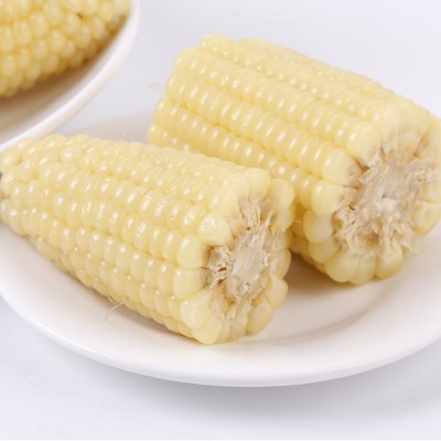 小白糯14穗年香玉软糯香甜年香玉新品热卖头茬玉米保温箱＋冰袋图3