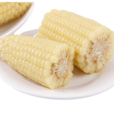 小白糯14穗年香玉软糯香甜年香玉新品热卖头茬玉米保温箱＋冰袋图4