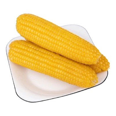 东北黄糯玉米十根 粘糯玉米真空包装整箱玉米棒加热即食代发批发图4