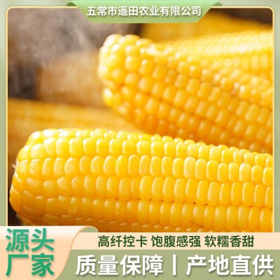 工厂加工定制东北黄糯玉米十根 粘糯玉米真空包装整箱玉米棒加热图2