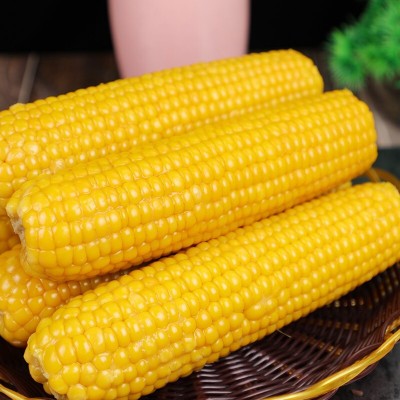 工厂加工定制东北黄糯玉米十根 粘糯玉米真空包装整箱玉米棒加热图4
