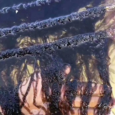 霞浦特产紫菜批发干货头水紫菜60g无沙无盐优质紫菜干货家用商用图2