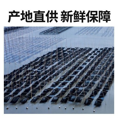 霞浦特产紫菜批发干货头水紫菜60g无沙无盐优质紫菜干货家用商用图3