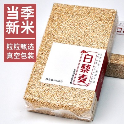 程山口青海高原白黎麦五谷杂粮粗粮孕妇宝宝代餐粥白藜麦米250克图2