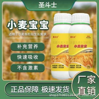 小麦宝宝高产专用肥麦黄金快速返青穗大粒饱生根壮苗叶面肥正品