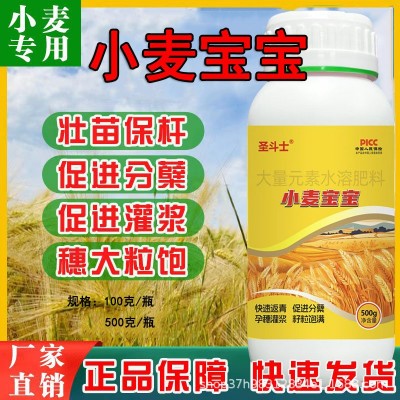 小麦宝宝高产专用肥麦黄金快速返青穗大粒饱生根壮苗叶面肥正品图5