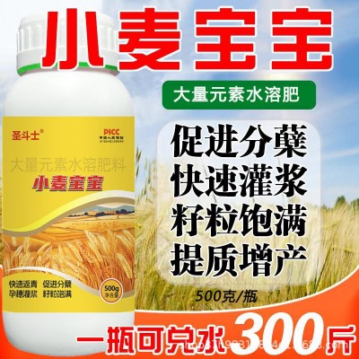 小麦宝宝高产专用肥麦黄金快速返青穗大粒饱生根壮苗叶面肥正品图3