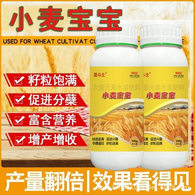 小麦宝宝高产专用肥麦黄金快速返青穗大粒饱生根壮苗叶面肥正品图4