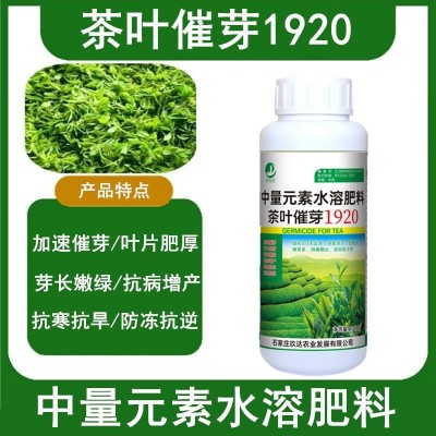 茶叶专用叶面肥 催芽剂 茶树催芽素生长素崔芽剂壮芽素非复合肥料图2