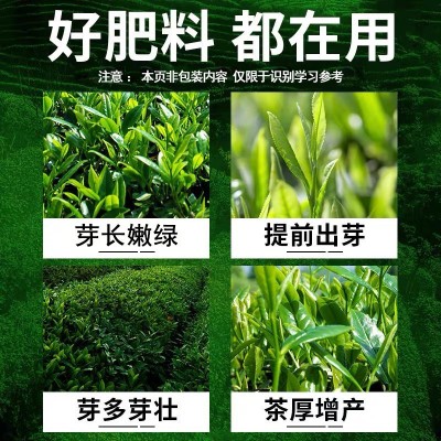茶叶专用叶面肥 催芽剂 茶树催芽素生长素崔芽剂壮芽素非复合肥料图3