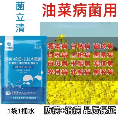 油菜高产粒粒饱非复合肥料丰产素生根壮苗剂籽粒饱满专用药叶面肥图3