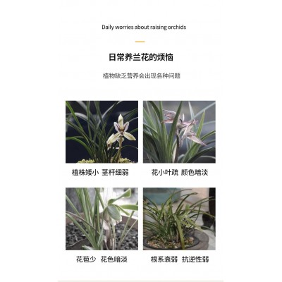 兰灵王兰花营养液525ml/瓶兰花君子兰肥料生根催芽EM菌液微生物菌图4