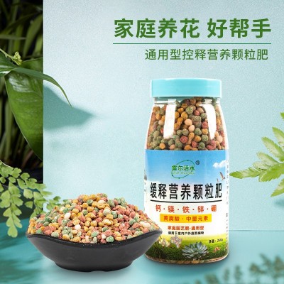 花卉绿植通用缓释肥250g/瓶花肥多肉颗粒控释肥复合肥料 一件代发图3
