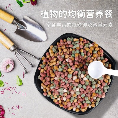花卉绿植通用缓释肥250g/瓶花肥多肉颗粒控释肥复合肥料 一件代发图2