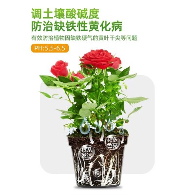 硫酸亚铁喜酸植物水溶肥 硫酸亚铁花肥料 大桶包装栀子花 茉莉铁树图3