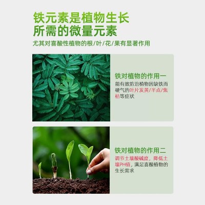 硫酸亚铁喜酸植物水溶肥 硫酸亚铁花肥料 大桶包装栀子花 茉莉铁树图2