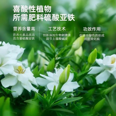 硫酸亚铁喜酸植物水溶肥 硫酸亚铁花肥料 大桶包装栀子花 茉莉铁树图5