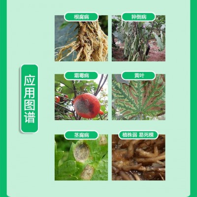 哈茨木霉菌枯草芽孢菌杆菌水溶肥冲施肥微生物菌剂生根防腐叶面肥图3