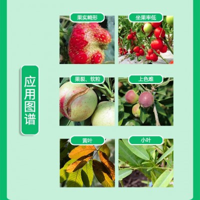 中量元素水溶肥钙镁硼锌铁叶面肥蔬菜果树保花保果防裂农用冲施肥图4