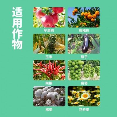 中量元素水溶肥钙镁硼锌铁叶面肥蔬菜果树保花保果防裂农用冲施肥图5