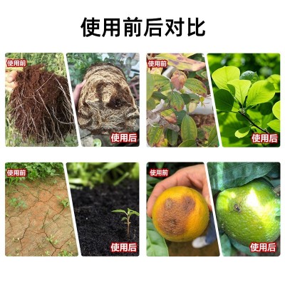 矿源黄腐酸钾生根壮苗调节土壤水溶肥水果蔬菜药材通用有 机生物肥图2