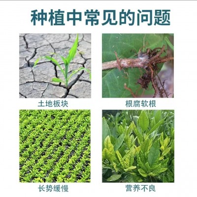 枯草芽孢杆菌哈茨木霉菌全水溶1公斤装农用水产养殖预防根腐病图3