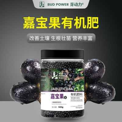 嘉宝果专用肥料复合肥有机颗粒缓释肥微量元素果树苗盆栽肥料花肥图4