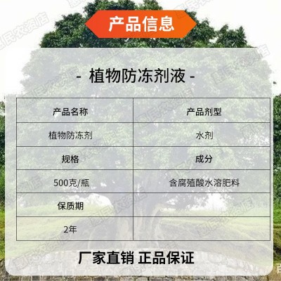 植物防冻剂抗寒防冻液大棚果树蔬菜花卉柑橘桔低温冻害进口保护液图3