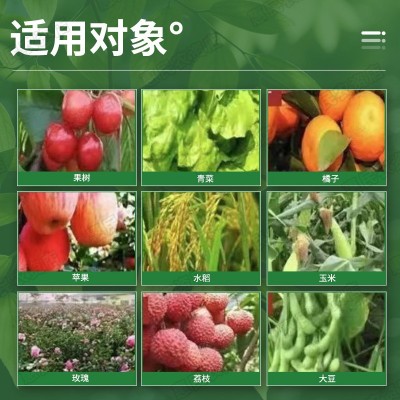 植物防冻剂抗寒防冻液大棚果树蔬菜花卉柑橘桔低温冻害进口保护液图5
