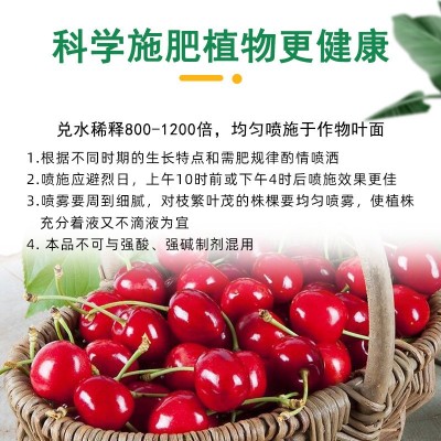 大樱桃授粉药 坐果灵 增甜剂樱桃树专用肥料车厘子保花保果营养肥图4