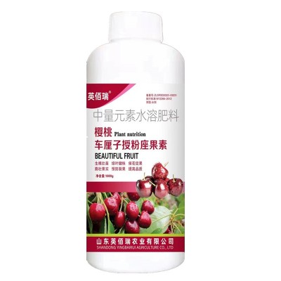 大樱桃授粉药 坐果灵 增甜剂樱桃树专用肥料车厘子保花保果营养肥图5