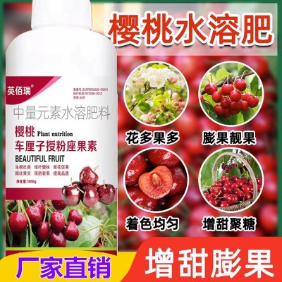 大樱桃授粉药 坐果灵 增甜剂樱桃树专用肥料车厘子保花保果营养肥图2