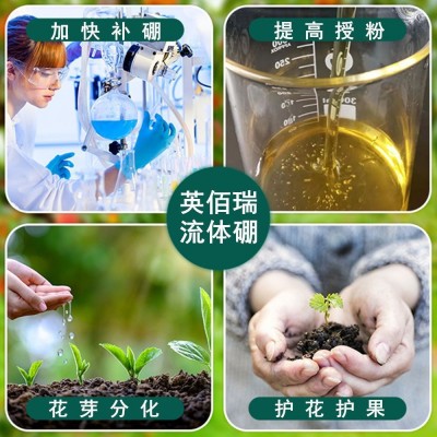 硼肥水溶肥料农用流体硼叶面肥硫体硼液体硼花生果树专用油菜花卉图3