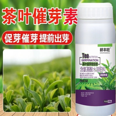 茶叶叶面肥茶叶催芽剂920催芽茶园促长剂生长素茶叶先锋茶树催芽图3