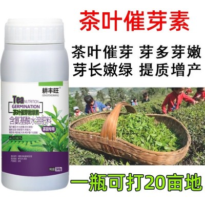 茶叶叶面肥茶叶催芽剂920催芽茶园促长剂生长素茶叶先锋茶树催芽图4