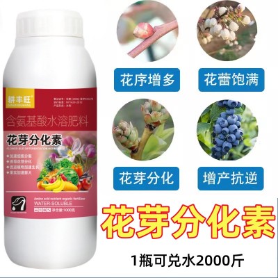 花芽素促花芽分化素催花催芽剂果树叶面肥农用细胞分裂素花芽分化图2
