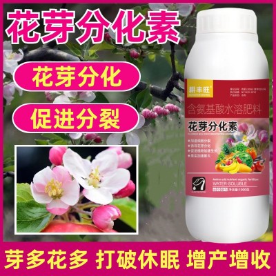 花芽素促花芽分化素催花催芽剂果树叶面肥农用细胞分裂素花芽分化图3