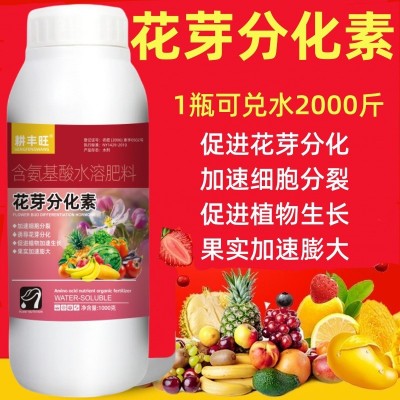 花芽素促花芽分化素催花催芽剂果树叶面肥农用细胞分裂素花芽分化图4